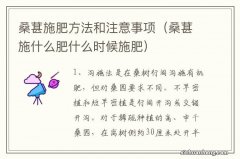 桑葚施什么肥什么时候施肥 桑葚施肥方法和注意事项