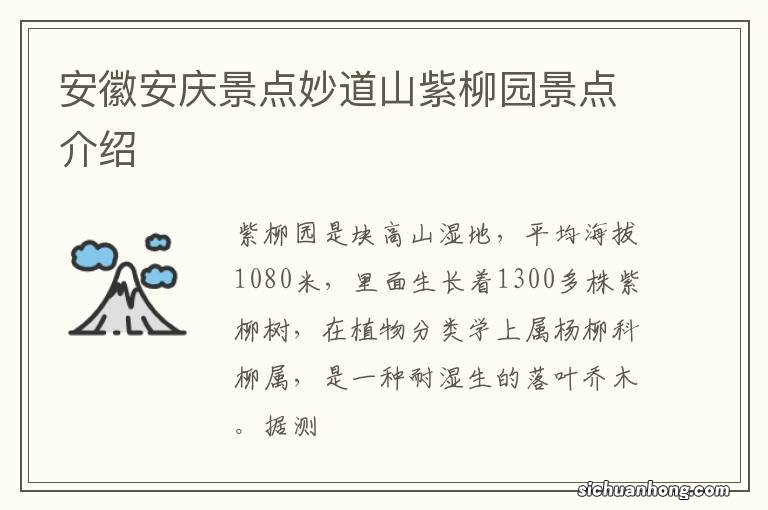 安徽安庆景点妙道山紫柳园景点介绍