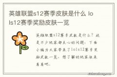 英雄联盟s12赛季皮肤是什么 lols12赛季奖励皮肤一览