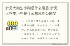 梦见大狗生小狗是什么意思 梦见大狗生小狗是什么意思周公解梦