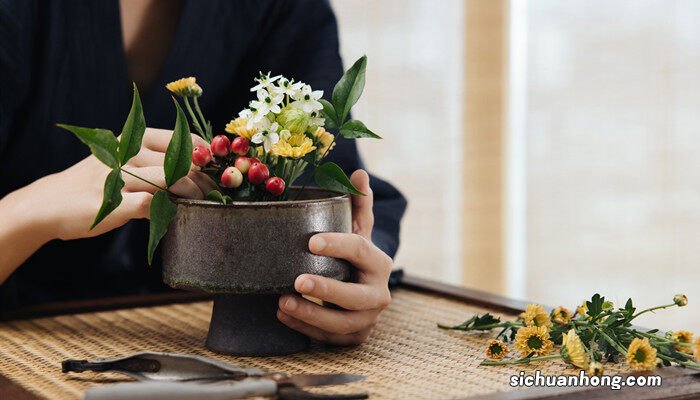 花艺结构名词解释 花艺结构