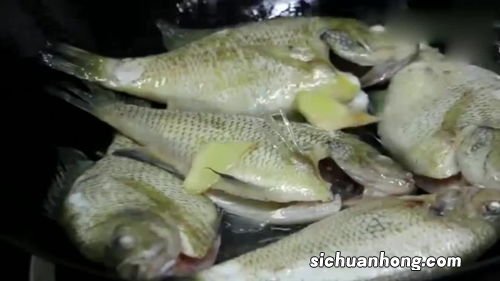 最简单的鱼怎么做的