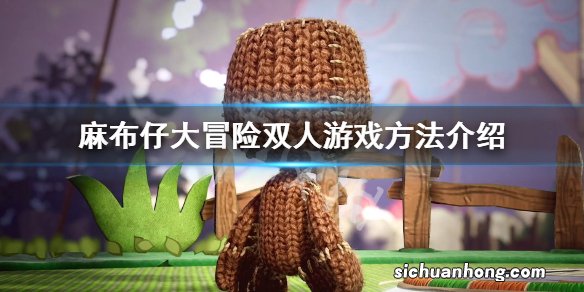 麻布仔大冒险怎么双人-双人游戏方法介绍