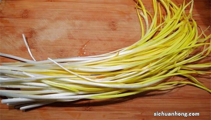 韭黄怎么种植出来的视频 韭黄怎么种植出来的