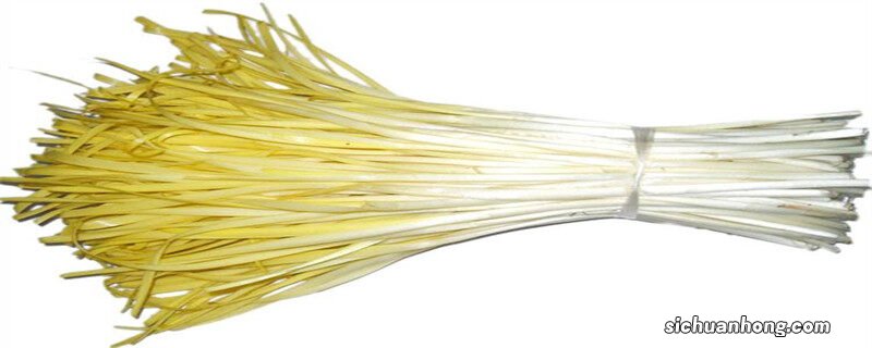 韭黄怎么种植出来的视频 韭黄怎么种植出来的