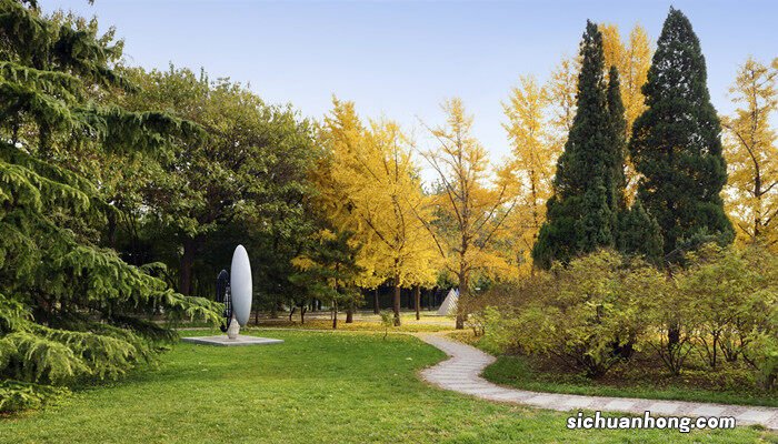 剪秋罗长什么样子 剪秋罗长什么样