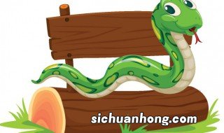 梦见四角蛇是什么意思,梦见四角蛇是什么意思解梦