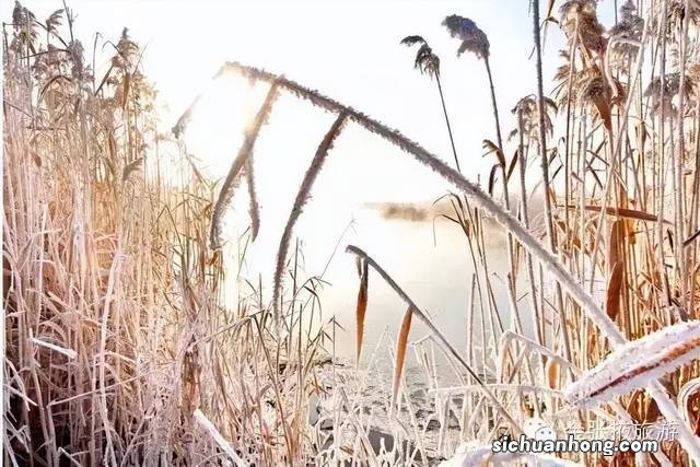 冬雪落下的刹那，张掖美成了童话！