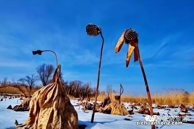 冬雪落下的刹那，张掖美成了童话！