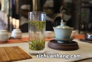 为什么绿茶不能洗茶