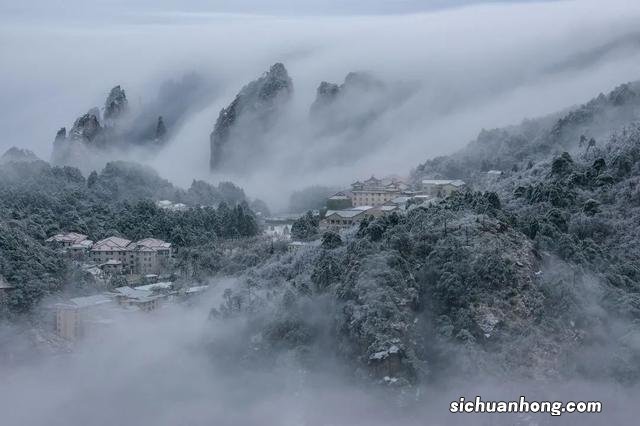 冬日的黄山，真的赢麻了