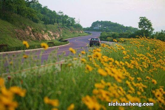 比肩厦门，山东青岛这条路去过一次就令人魂牵梦绕