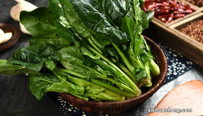 菠菜的种植方法和时间介绍菠菜 菠菜的种植方法