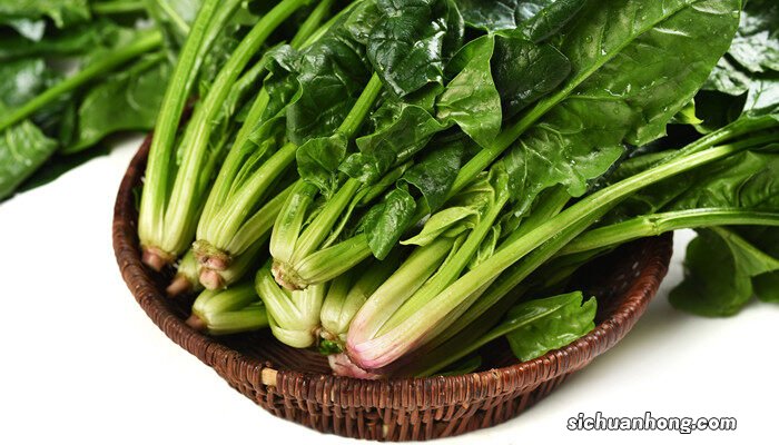 菠菜的种植方法和时间介绍菠菜 菠菜的种植方法