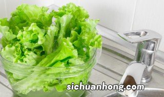 生菜什么时间种植 生菜什么种植有好又高产