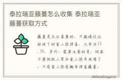 泰拉瑞亚藤蔓怎么收集 泰拉瑞亚藤蔓获取方式