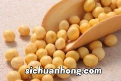 如何吃甜食不易发胖？怎样巧吃甜食不发胖？