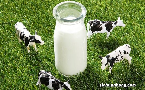 哪些食物有补脑的功效？如何给脑子补充能量？