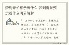 梦到青蛇预示着什么 梦到青蛇预示着什么周公解梦