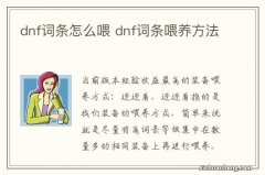 dnf词条怎么喂 dnf词条喂养方法