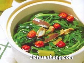 西洋菜蜜枣汤煮多久