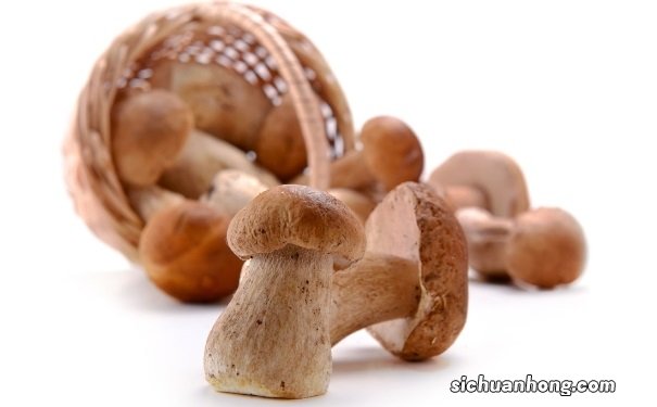 蘑菇的营养价值有哪些?蘑菇有哪些营养功效?