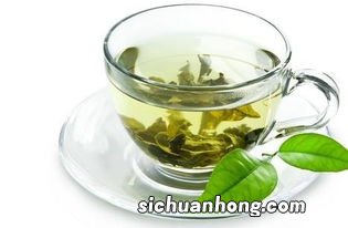 什么绿茶适合煮