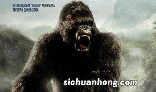 金刚是怪物吗 金刚的简介