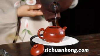 什么壶泡宜兴红茶好