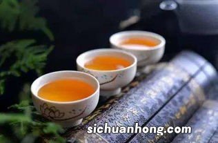 什么茶可以常年喝