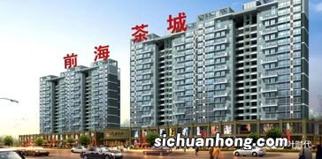 深圳前海茶城什么茶好