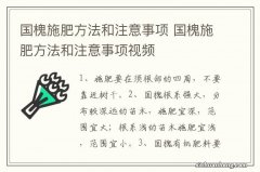 国槐施肥方法和注意事项 国槐施肥方法和注意事项视频