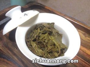 普洱茶茶虫什么样子