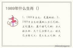 1989年什么生肖