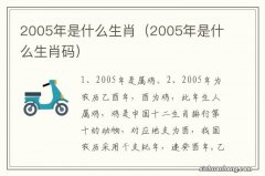 2005年是什么生肖码 2005年是什么生肖