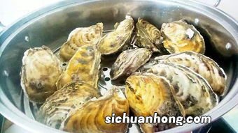 生蚝清蒸需要蒸多久