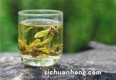 茉莉龙珠是什么茶叶