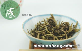 茉莉龙珠是什么茶叶