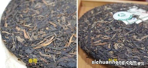 勐库母树茶有什么好