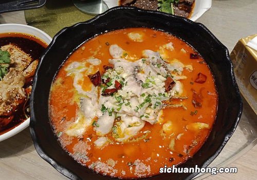 煮片片鱼一般用什么鱼