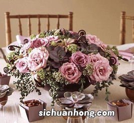 玫瑰花束配什么花草