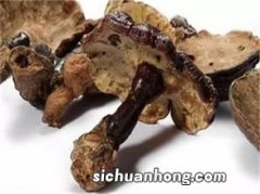 煮灵芝水可以加什么功效