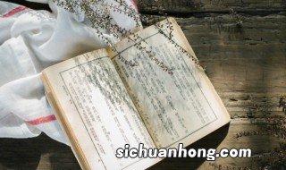 皇帝坐的轿子叫什么，皇上坐的轿子叫什么?