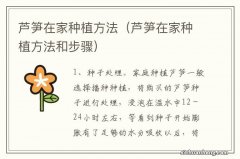 芦笋在家种植方法和步骤 芦笋在家种植方法