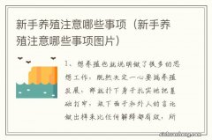 新手养殖注意哪些事项图片 新手养殖注意哪些事项