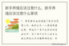 新手养殖应该注意什么，新手养殖应该注意什么事项