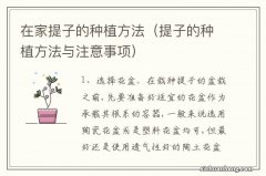 提子的种植方法与注意事项 在家提子的种植方法