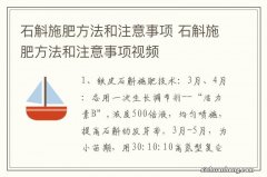 石斛施肥方法和注意事项 石斛施肥方法和注意事项视频