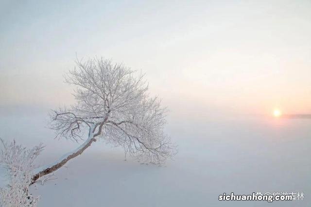 长白天下雪·燃 长春的冬天是啥色儿的？