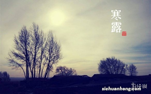 寒露节气壁纸分享 寒露节气壁纸哪里找